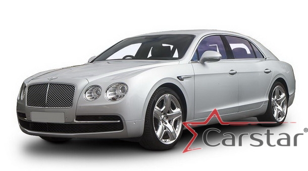 Автомобильные коврики EVA 3D для Bentley Continental Flying Spur (2005-2013)